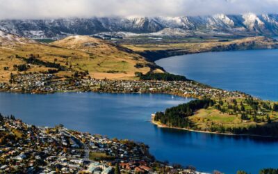 Joy and Freedom – New Zealand Edition