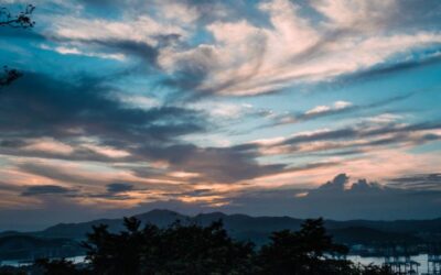 When the Dream isn’t What You Dreamed